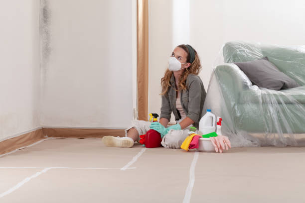 Reliable Commercial Mold Remediation contractor in Harrisburg, OR by 24 Hour Mold Removal